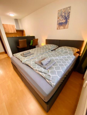 Schafberg nahe Zentrum Einzimmer Ferienwohnung